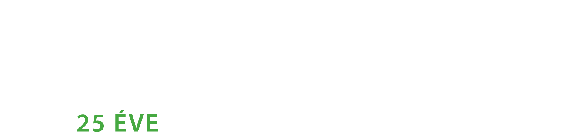 Öntőgépszerviz logó