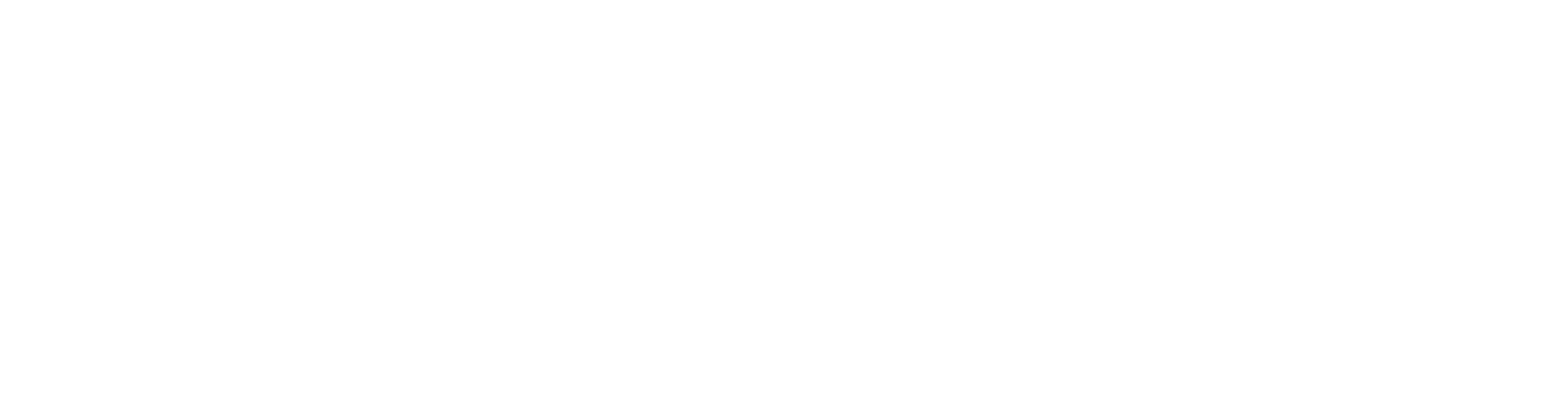 Parker logó